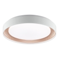 Brilliant - Dimbart LED-taklampa WALDO LED/24W/230V 3000–6500K Ø 38,5 cm vit/roséguld + fjärrkontroll