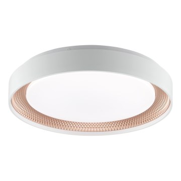 Brilliant - Dimbart LED-taklampa WALDO LED/24W/230V 3000–6500K Ø 38,5 cm vit/roséguld + fjärrkontroll
