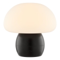 Brilliant - Dimmbar uppladdningsbar beröringsstyrd LED-bordslampa DUPIS LED/2W/5V 2700K 1800 mAh svart