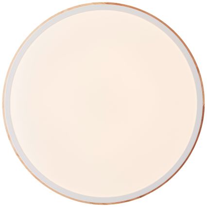 Brilliant - LED Dimbar taklampa BAARLO LED/24W/230V diameter 35 cm vit/gummifikon