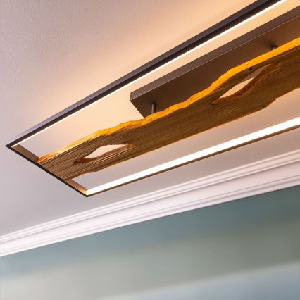 Brilliant - LED Dimbar taklampa CHAUMONT LED/48W/230V gummifikon