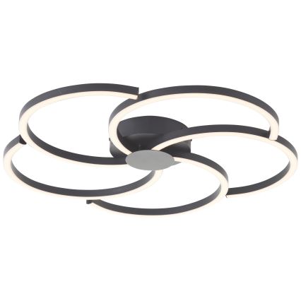 Brilliant - LED Dimbar taklampa FICO LED/32W/230V diameter 57 cm svart