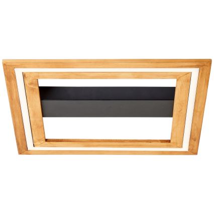 Brilliant - LED Dimbar taklampa RHEA LED/24W/230V 3000K 45x45 cm