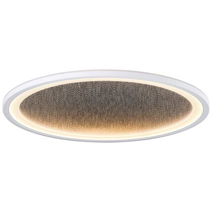 Brilliant - LED Dimbar taklampa TANIDA LED/31W/230V 3000-6500K + fjärrkontroll