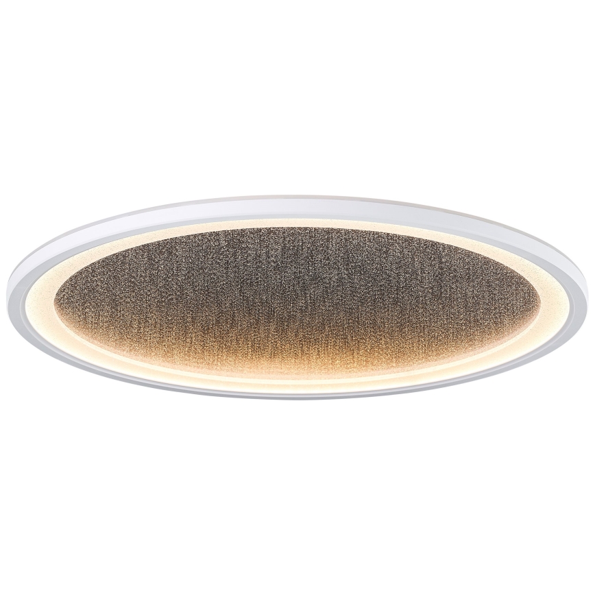 Brilliant - LED Dimbar taklampa TANIDA LED/31W/230V 3000-6500K + fjärrkontroll