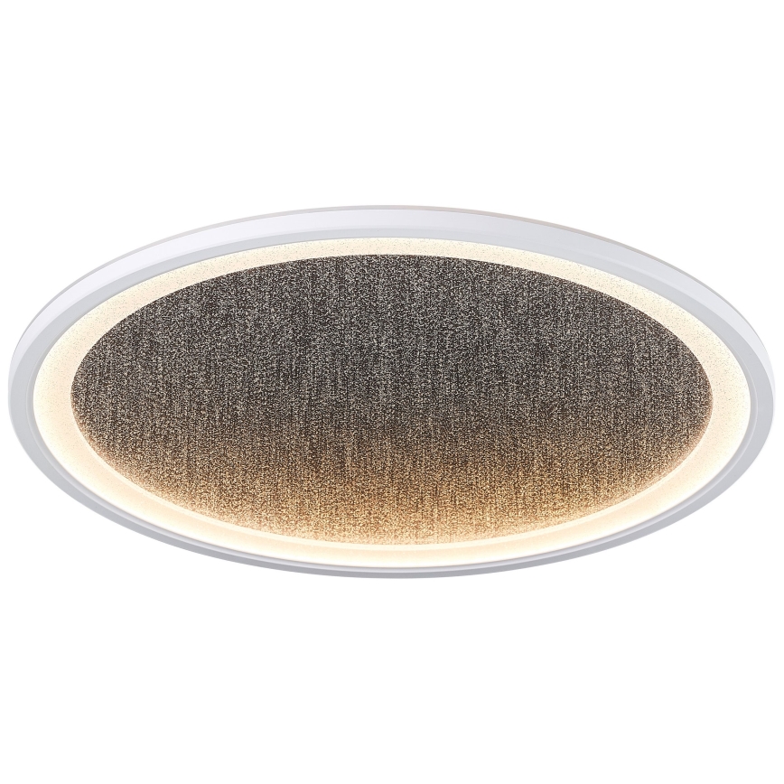 Brilliant - LED Dimbar taklampa TANIDA LED/31W/230V 3000-6500K + fjärrkontroll