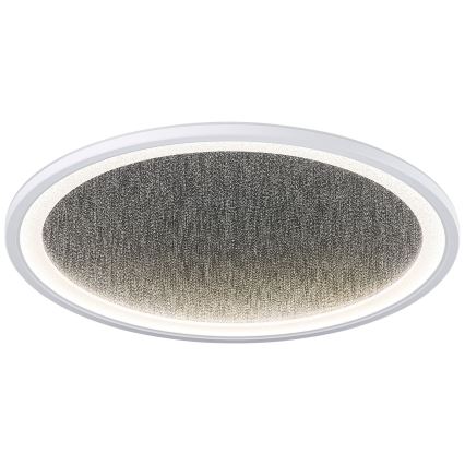 Brilliant - LED Dimbar taklampa TANIDA LED/31W/230V 3000-6500K + fjärrkontroll