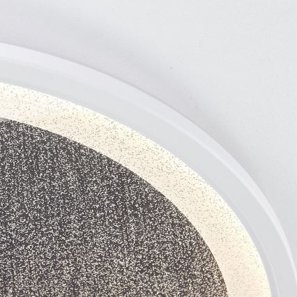 Brilliant - LED Dimbar taklampa TANIDA LED/31W/230V 3000-6500K + fjärrkontroll