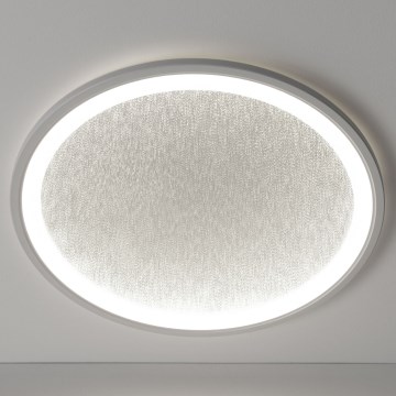 Brilliant - LED Dimbar taklampa TANIDA LED/31W/230V 3000-6500K + fjärrkontroll