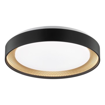Brilliant - LED dimbar taklampa WALDO LED/24W/230V 3000-6500K Ø 38,5 cm svart/guld + fjärrkontroll