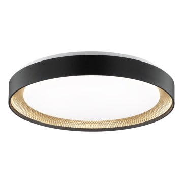 Brilliant - LED-dimbar taklampa WALDO LED/36W/230V 3000-6500K Ø 48,5 cm svart/guld + fjärrkontroll