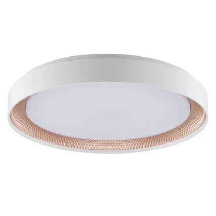 Brilliant - Dimbar LED-taklampa WALDO LED/36W/230V 3000-6500K Ø 48,5 cm vit/roséguld + fjärrkontroll