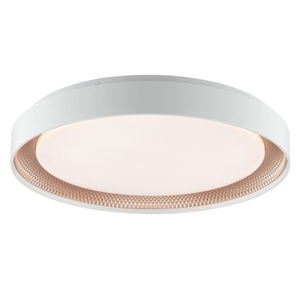 Brilliant - Dimbar LED-taklampa WALDO LED/36W/230V 3000-6500K Ø 48,5 cm vit/roséguld + fjärrkontroll