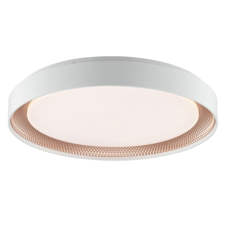 Brilliant - Dimbar LED-taklampa WALDO LED/36W/230V 3000-6500K Ø 48,5 cm vit/roséguld + fjärrkontroll
