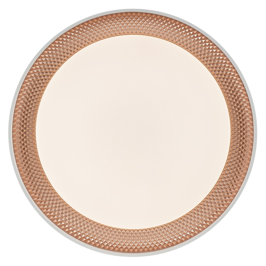 Brilliant - Dimbar LED-taklampa WALDO LED/36W/230V 3000-6500K Ø 48,5 cm vit/roséguld + fjärrkontroll
