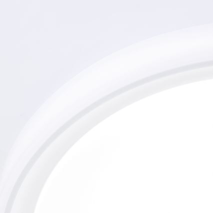 Brilliant - LED RGBW Dimbar taklampa FLOCO LED/34W/230V 3000-6500K diameter 49,5 cm vit + fjärrkontroll