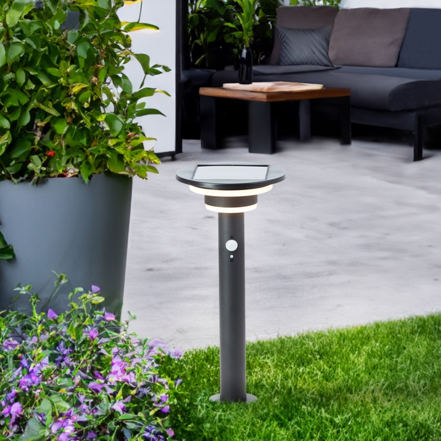 Brilliant - LED solcellslampa med sensor GARVINA LED/3W/3,7V 2000 mAh 45 cm IP44 svart