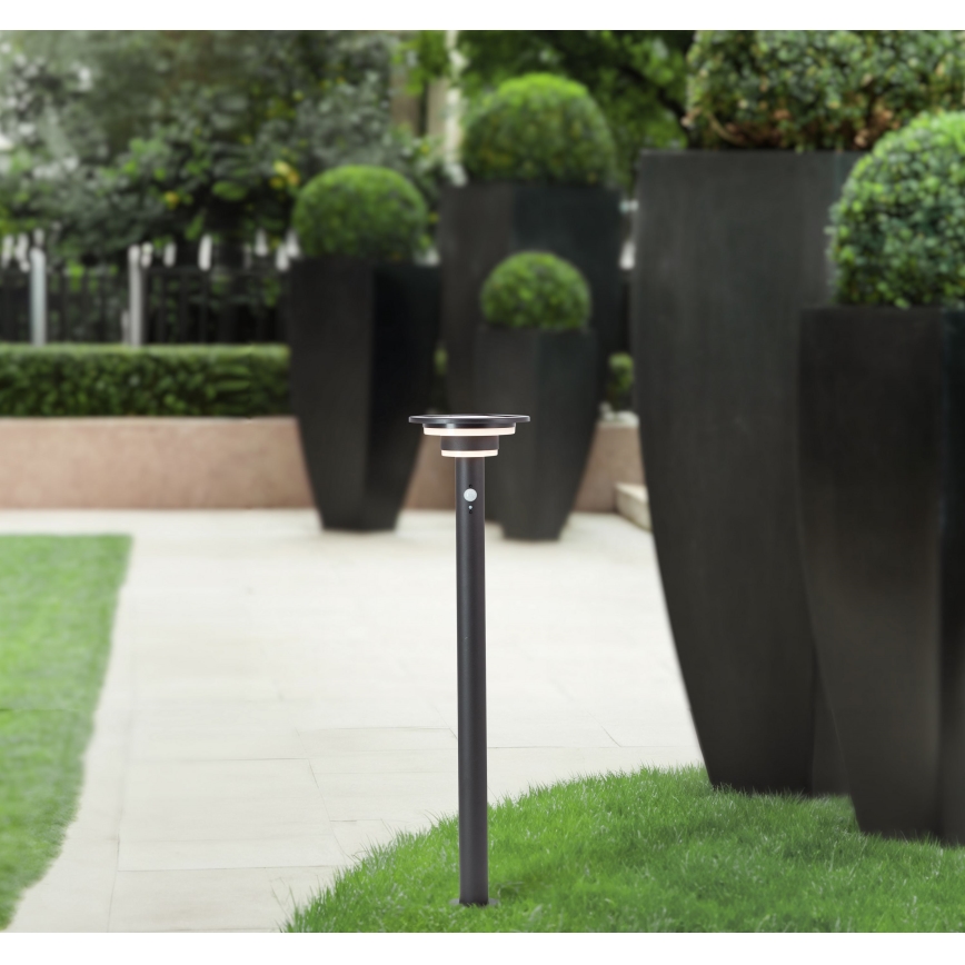 Brilliant - LED solcellslampa med sensor GARVINA LED/3W/3,7V 2000 mAh 85 cm IP44 svart