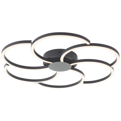 Brilliant - LED Dimbar taklampa FICO LED/32W/230V 3000-6500K diameter 65 cm svart + fjärrkontroll