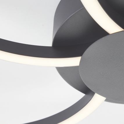 Brilliant - LED Dimbar taklampa FICO LED/32W/230V 3000-6500K diameter 65 cm svart + fjärrkontroll