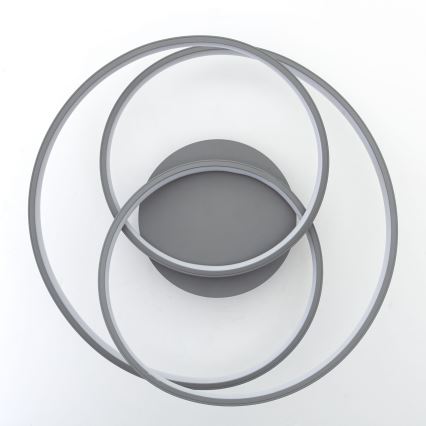 Brilliant - LED taklampa LABYRINTH LED/40W/230V diameter 39,5 cm grå