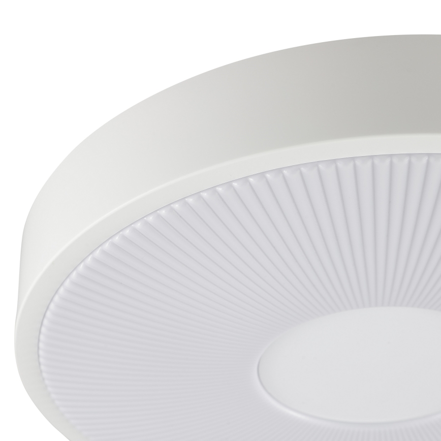 Brilliant - LED-taklampa RAKIN LED/18W/230V Ø 33,5 cm vit