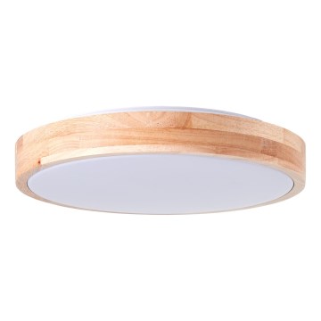 Brilliant - LED taklampa SLIMLINE LED/14W/230V 3000/4000K gummifikon