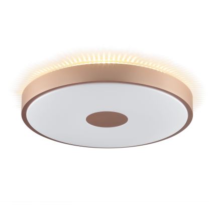 Brilliant - LED taklampa TAVIS LED/24W/230V Ø 44,5 cm roséguld
