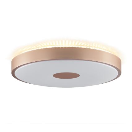 Brilliant - LED taklampa TAVIS LED/24W/230V Ø 44,5 cm roséguld
