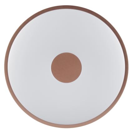 Brilliant - LED taklampa TAVIS LED/24W/230V Ø 44,5 cm roséguld