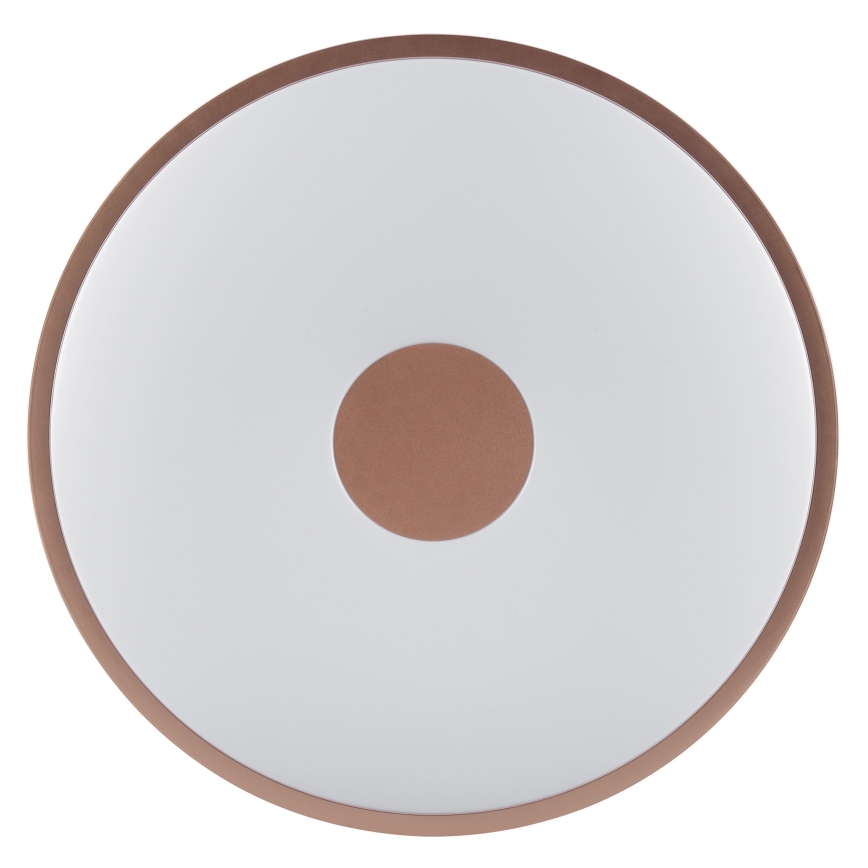 Brilliant - LED taklampa TAVIS LED/24W/230V Ø 44,5 cm roséguld