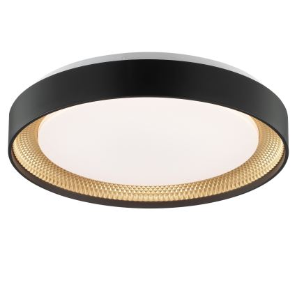 Brilliant - LED dimbar taklampa WALDO LED/24W/230V 3000-6500K Ø 38,5 cm svart/guld + fjärrkontroll