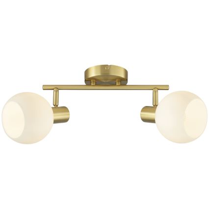 Brilliant - Spotlampa CONY 2xE14/20W/230V mässing