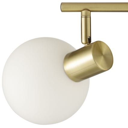 Brilliant - Spotlampa CONY 2xE14/20W/230V mässing