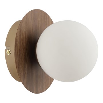 Brilliant - Vägglampa STUART 1xG9/10W/230V, brun