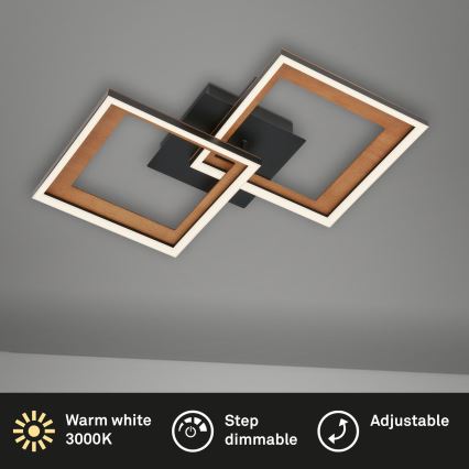 Brilo - Dimbar LED ytmonterad ljuskrona FRAME 2xLED/11W/230V