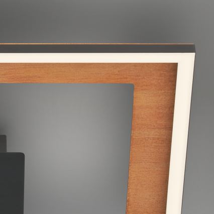 Brilo - Dimbar LED ytmonterad ljuskrona FRAME 2xLED/11W/230V