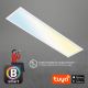 Brilo - LED Dimbar taklampa PIATTO LED/28W/230V 3000-6500K Wi-Fi Tuya + fjärrkontroll