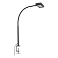 Brilo - LED Flexibel bordslampa med klämma TRASNA LED/7,5W/230V svart