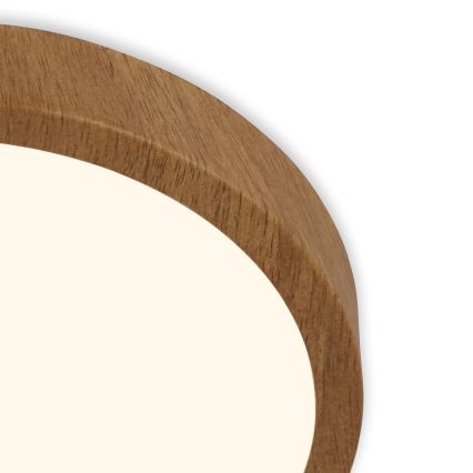 Brilo - LED taklampa RUNA LED/24W/230V