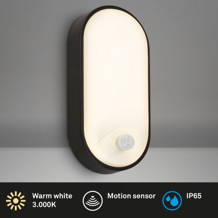 Brilo - LED utomhusvägglampa med rörelse- och skymningssensor RUCH LED/12W/230V IP65 svart