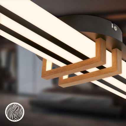 Brilo - TINKA LED taklampa 30 W/230 V, 3000 K, svart