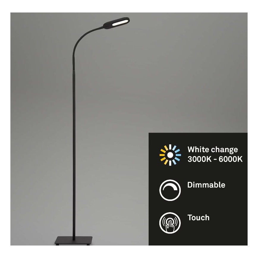 Briloner 1297-015 - LED dimbar flexibel golvlampa LED/6,6W/230V 3000K/4000K/6000K