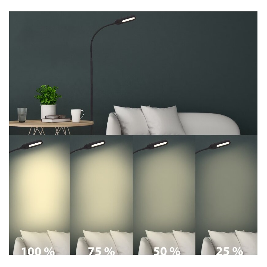 Briloner 1297-015 - LED dimbar flexibel golvlampa LED/6,6W/230V 3000K/4000K/6000K