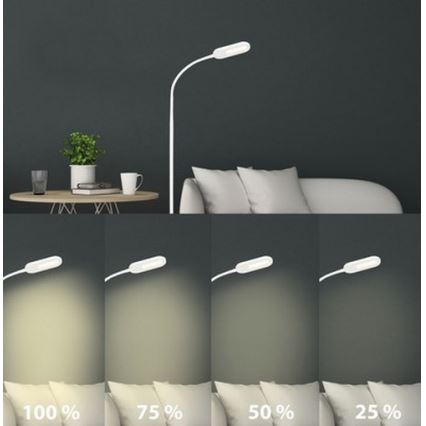 Briloner 1297-016 - LED Ljusreglerad beröring golvlampa LED/8W/230V 3000/4000/6000K