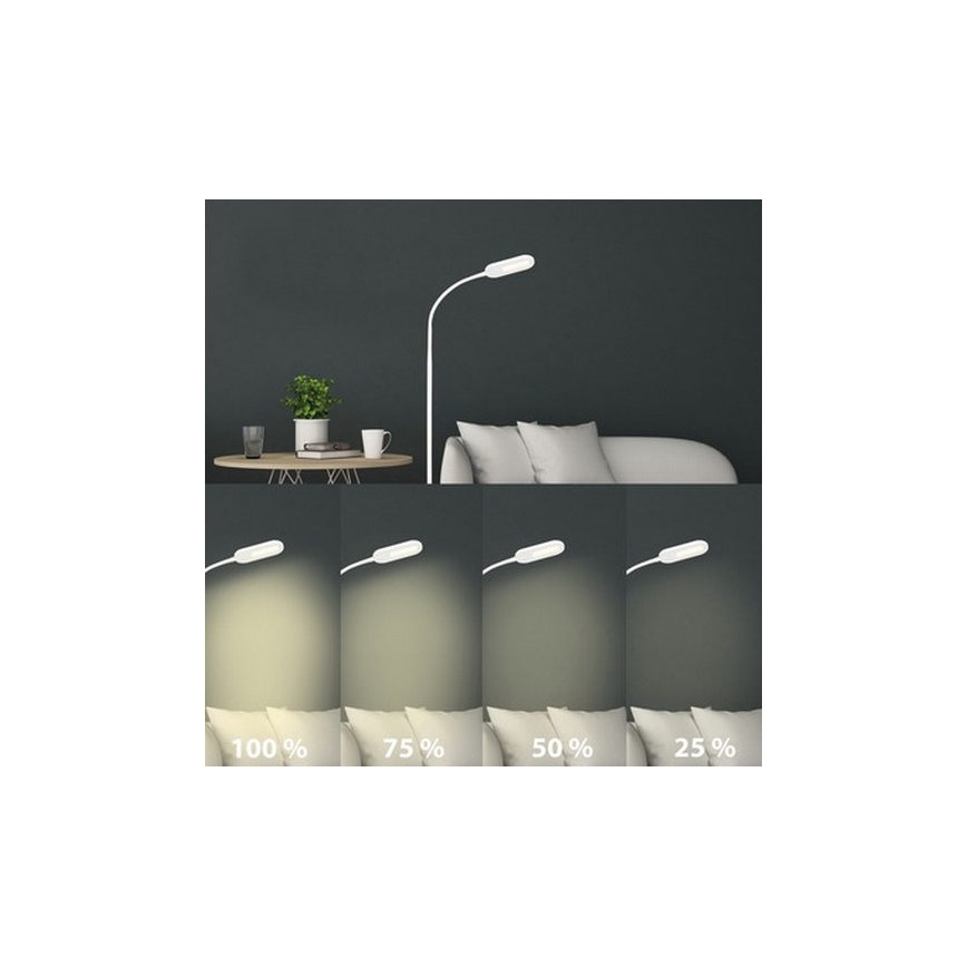 Briloner 1297-016 - LED Ljusreglerad beröring golvlampa LED/8W/230V 3000/4000/6000K