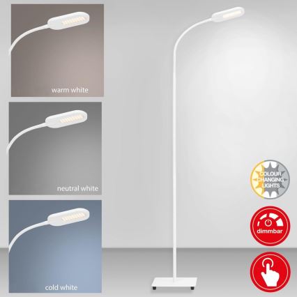 Briloner 1297-016 - LED Ljusreglerad beröring golvlampa LED/8W/230V 3000/4000/6000K