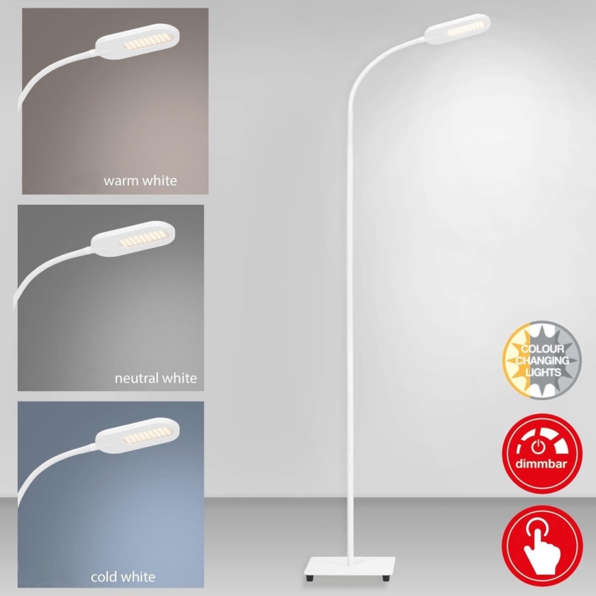 Briloner 1297-016 - LED Ljusreglerad beröring golvlampa LED/8W/230V 3000/4000/6000K
