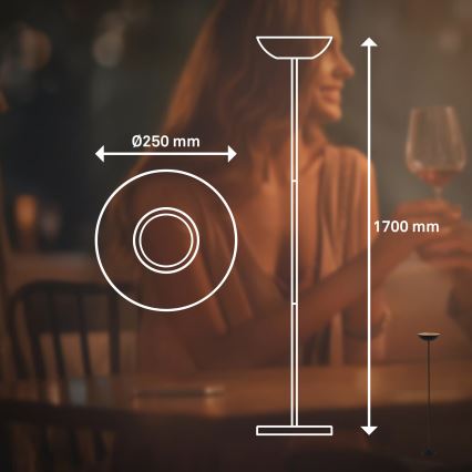 Briloner 1500015 - LED dimbar golvlampa ESTATE LED/8W/5V 4000 mAh svart