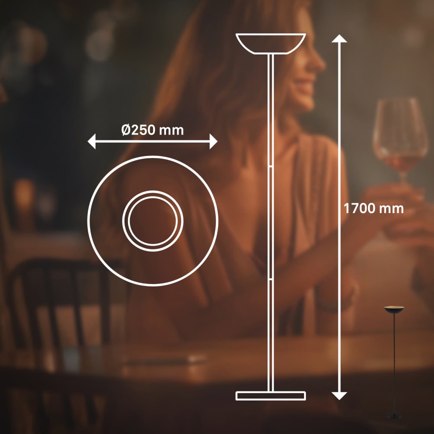 Briloner 1500015 - LED dimbar golvlampa ESTATE LED/8W/5V 4000 mAh svart